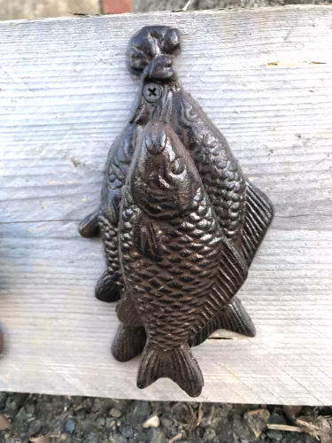 Türklopfer Fisch