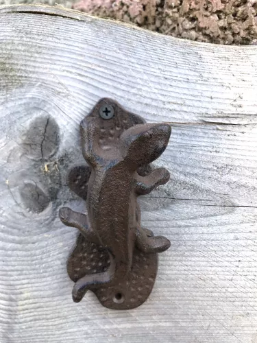 Türklopfer Salamander