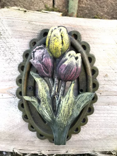 Türklopfer Tulpen 
