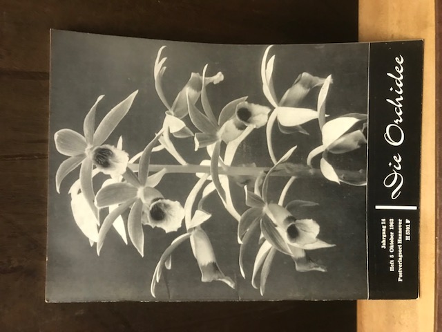 Die Orchidee Heft 5 Oktober 1963